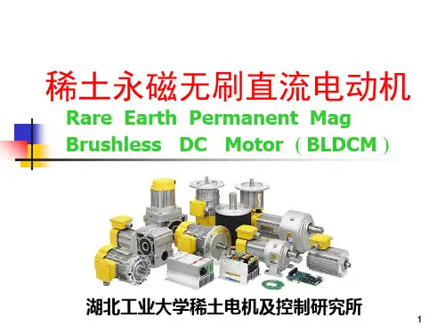 BLDC电动机本体设计及控制原理