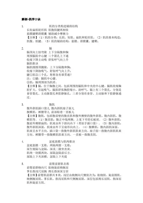 肌学口诀