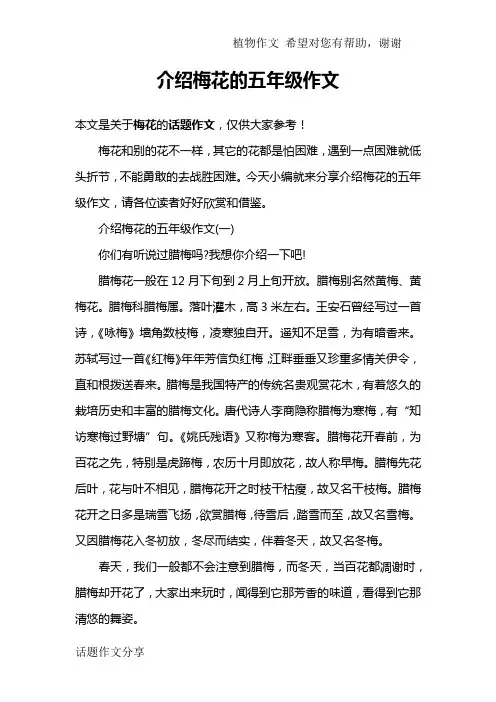 介绍梅花的五年级作文