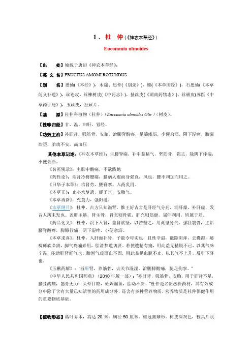 综述——杜仲