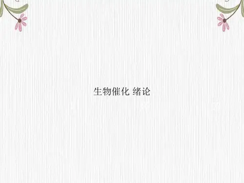 生物催化 绪论专选课件