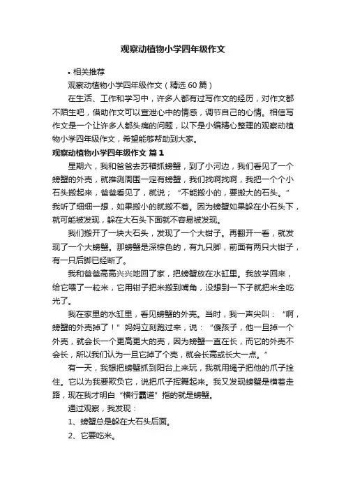 观察动植物小学四年级作文