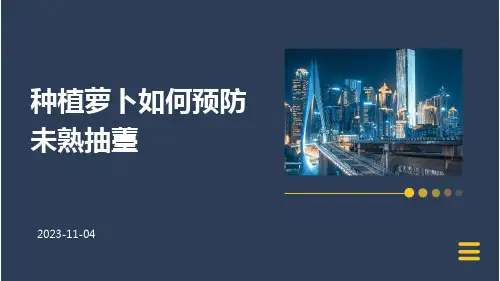种植萝卜如何预防未熟抽薹