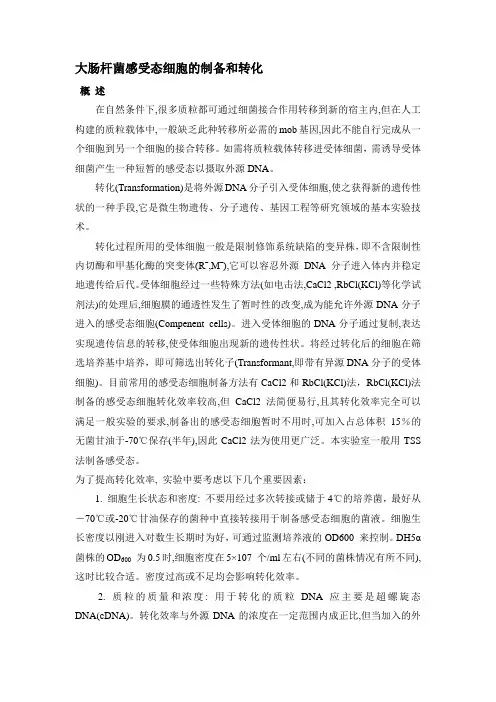 大肠杆菌感受态