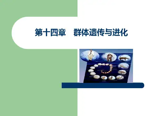 群体遗传