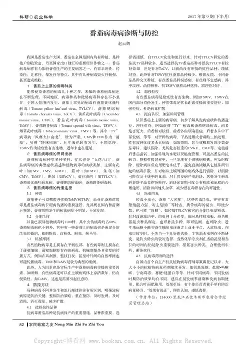 番茄病毒病诊断与防控