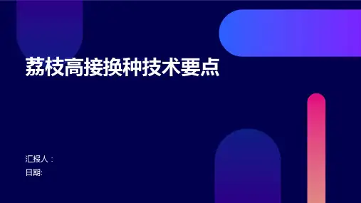 荔枝高接换种技术要点