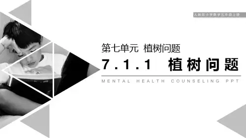 《植树问题》数学教学PPT课件(3篇)