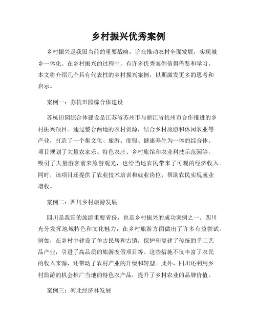 乡村振兴优秀案例