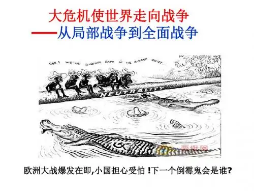 3.2《由局部战争走向大战》ppt课件