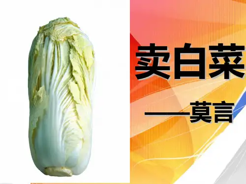 莫言《卖白菜》优秀课件