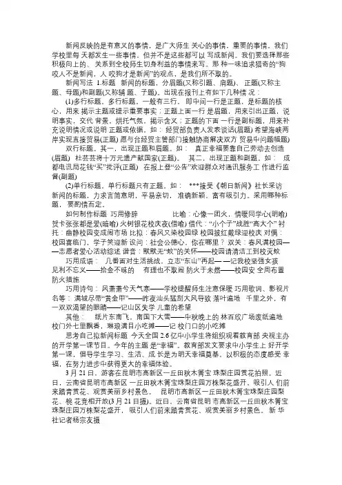 新闻的写法Word免费范文精选