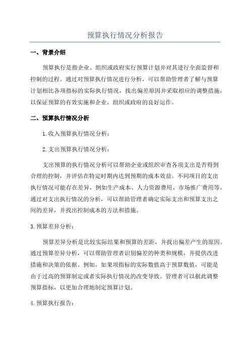 预算执行情况分析报告