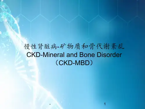继发性甲旁亢ppt课件