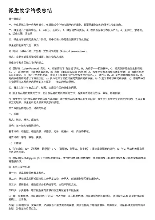 微生物学终极总结