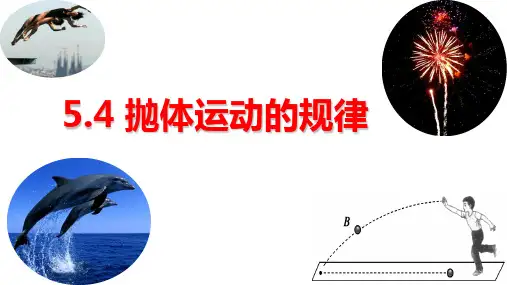 物理人教版(2019)必修第二册5.4抛体运动的规律(共18张ppt)