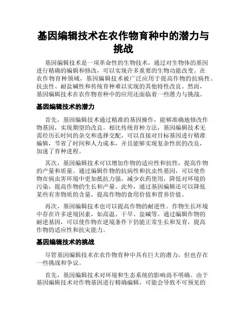 基因编辑技术在农作物育种中的潜力与挑战