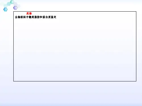 糖类、蛋白质、脂肪的鉴定 (共15张PPT)-经典教学教辅文档