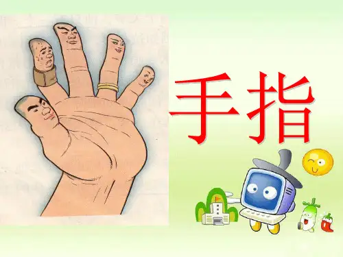 5、《手指》PPT课件(上课用)
