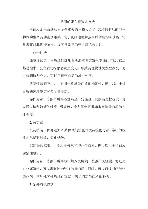 常用的蛋白质鉴定方法