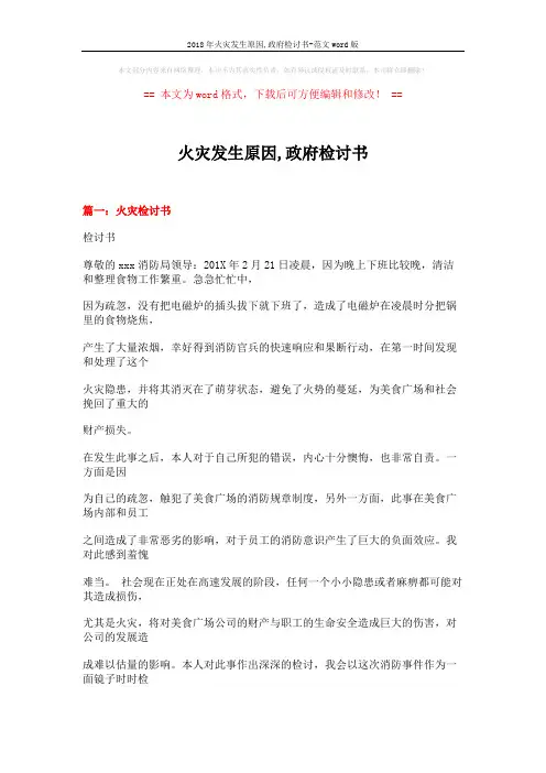 2018年火灾发生原因,政府检讨书-范文word版 (20页)