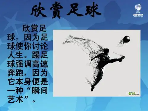 足球比赛欣赏
