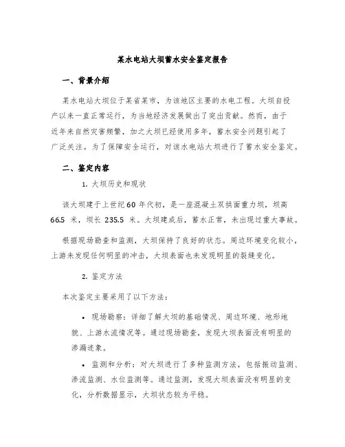 某水电站大坝蓄水安全鉴定报告