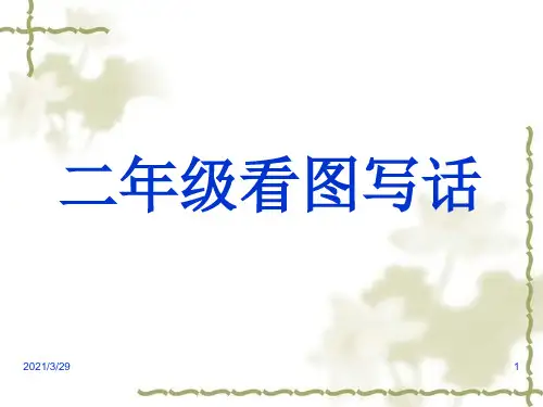二年级看图写话(课堂PPT)