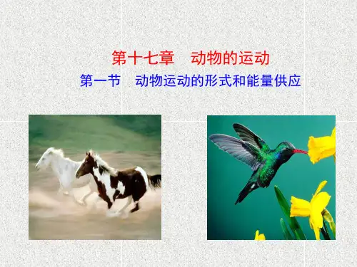 动物运动的形式和能量供应
