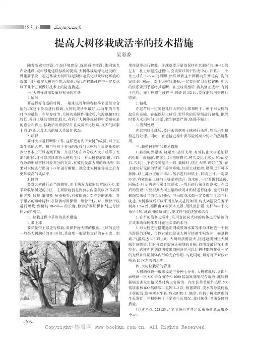 提高大树移栽成活率的技术措施