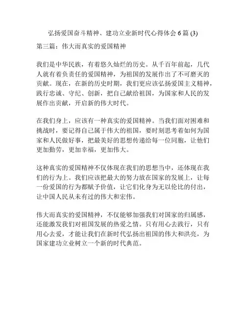 弘扬爱国奋斗精神、建功立业新时代心得体会6篇 (3)