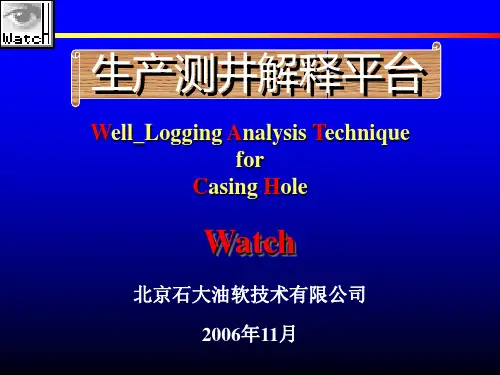 生产测井解释软件 Watch