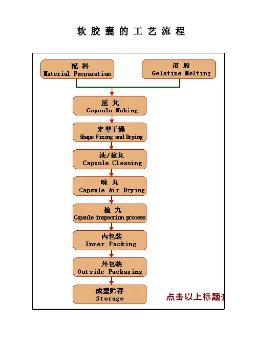 [VIP专享]软胶囊工艺培训资料