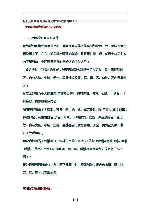 足部反射区图-实用足部反射区和穴位图解