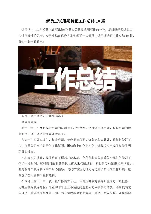 新员工试用期转正工作总结10篇