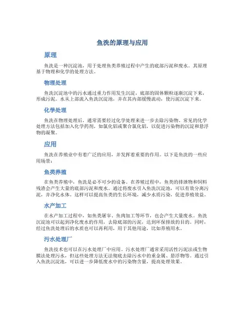 鱼洗的原理与应用