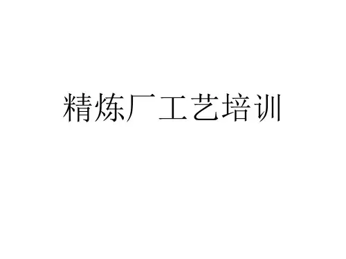 铅湿法精炼工艺培训