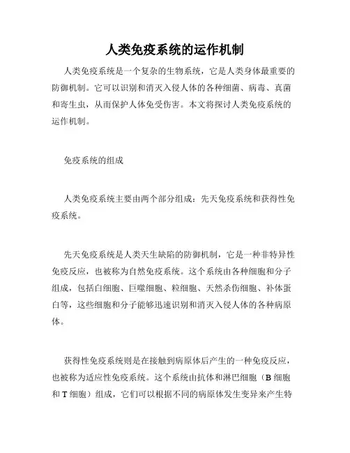 人类免疫系统的运作机制