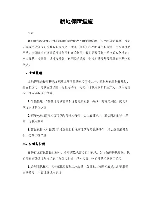 耕地保障措施