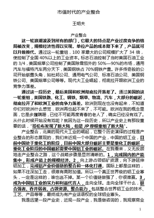 王明夫-市值时代的产业整合