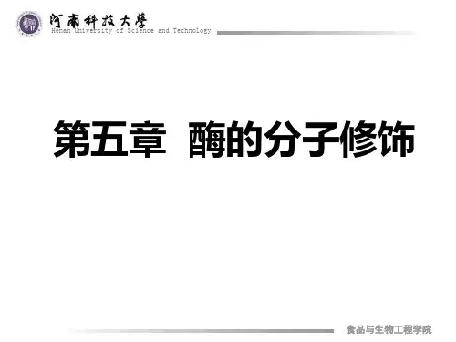 05第五章 酶分子的修饰