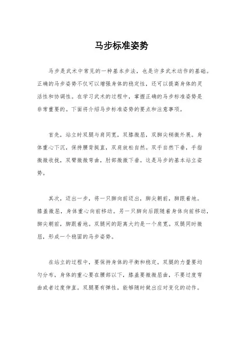 马步标准姿势
