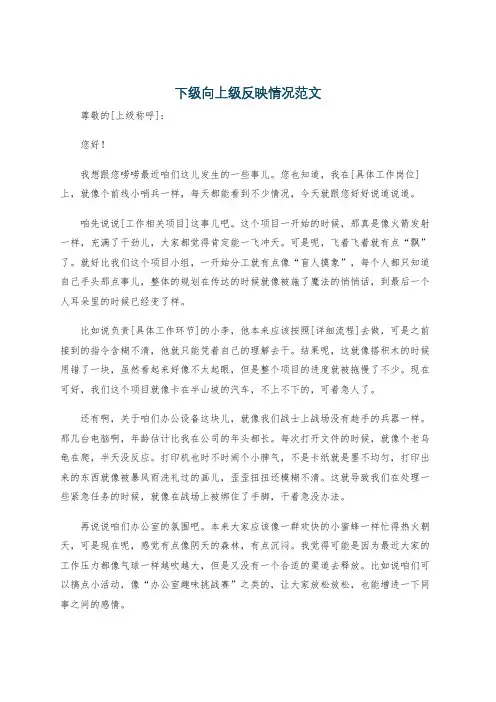 下级向上级反映情况范文