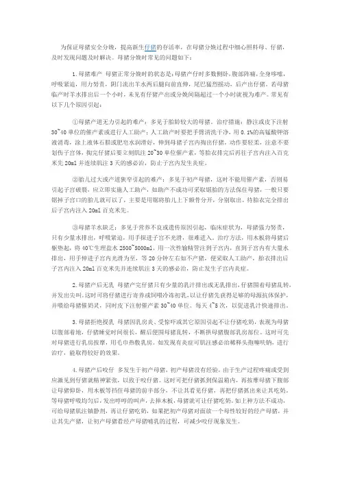 母猪分娩