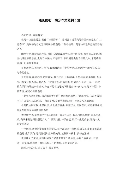 遇见的初一满分作文范例5篇