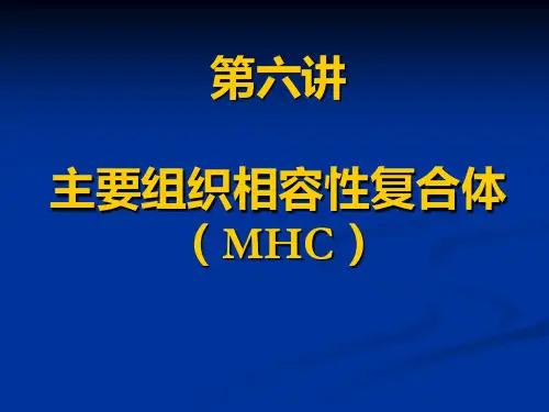 【精品】06主要组织相容性复合体