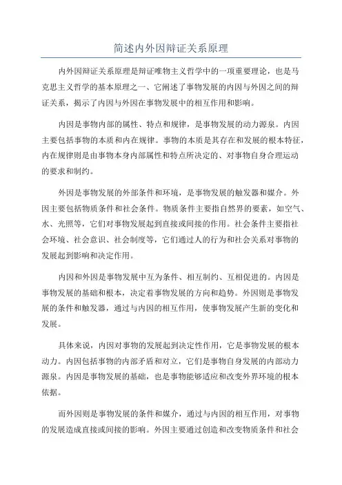 简述内外因辩证关系原理