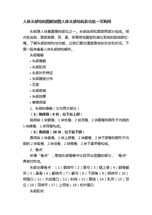 人体头部结构图解剖图人体头部结构及功能→买购网