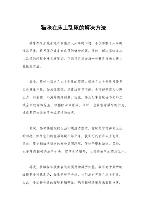 猫咪在床上乱尿的解决方法