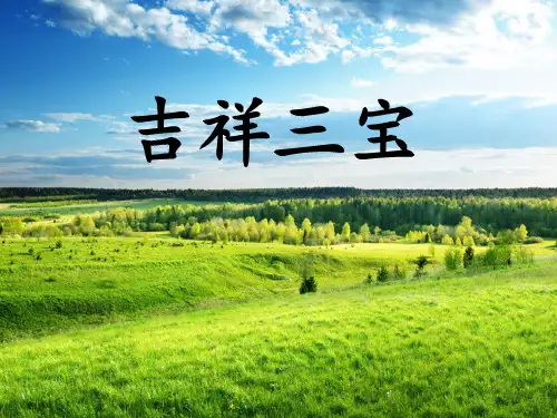《吉祥三宝》PPT课件